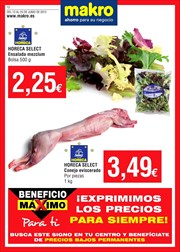 Ofertas de Carne y charcutería  en el folleto de Makro