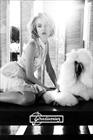 Cat�logo de Stradivarius (Gran V�a)