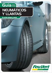 Ofertas de Coche, moto y recambios en el folleto de Feuvert de Madrid