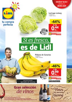 Ofertas de Lidl en el folleto de Gijón