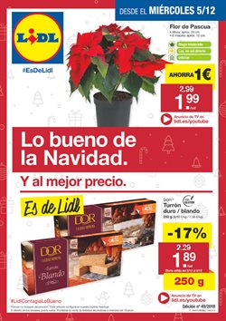 Ofertas de Lidl en el folleto de Madrid