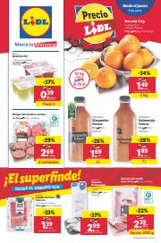 Lidl | Catálogos y Ofertas Junio 2022