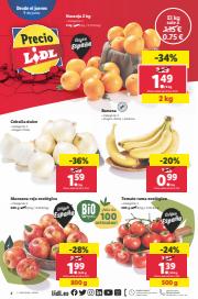 Lidl | Catálogos y Ofertas Junio 2022