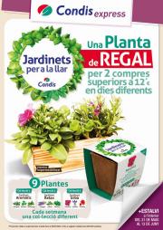 Catálogo Condis en L'Hospitalet de Llobregat | Jardinets per a la llar | 31/5/2023 - 13/6/2023