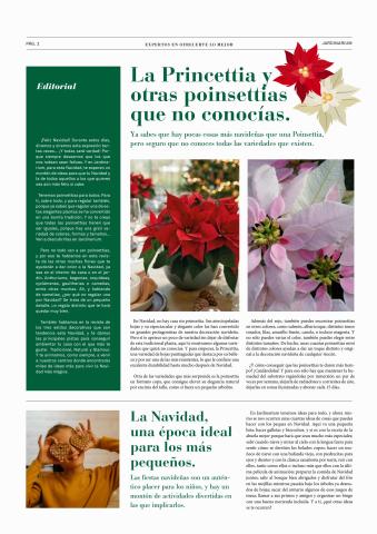 Catálogo Jardinarium en Donostia-San Sebastián | Ideas para vivir la Navidad  | 9/11/2022 - 31/1/2023