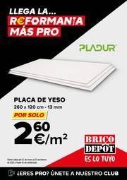 Catálogo Brico Depôt en Bilbao | ESPECIAL PROFESIONALES | 27/1/2023 - 23/2/2023
