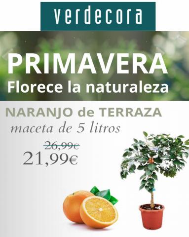 Catálogo Verdecora en Paterna | Novedades de Primavera  | 28/3/2023 - 16/4/2023