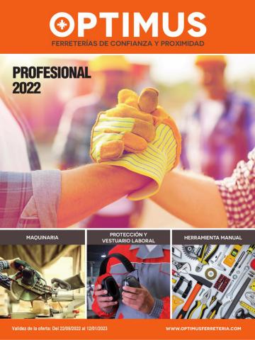 Oferta en la página 33 del catálogo Profesional 2022 de Cofac