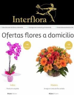 Catálogo Interflora ( 2 días más)