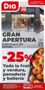 Oferta en la página 11 del catálogo Gran Apertura de Dia