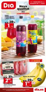Ofertas de Hiper-Supermercados en Castell Platja d Aro | Nueva calidad Dia de Dia Concept | 24/5/2023 - 30/5/2023