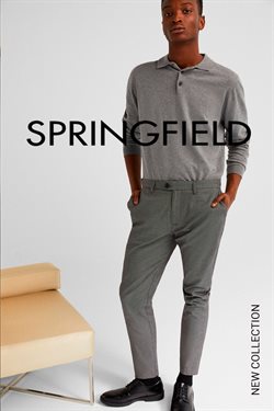 Ofertas de Springfield en el folleto de Segovia
