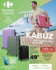 Catálogo Carrefour en Leioa | PRIMAVERA (Maletas, automóvil, deporte, televisores, pequeño electrodoméstico) | 24/3/2023 - 17/4/2023