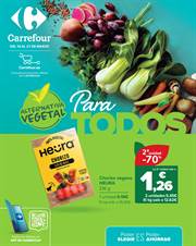 Catálogo Carrefour en Lalín | ALTERNATIVA VEGETAL | 14/3/2023 - 27/3/2023