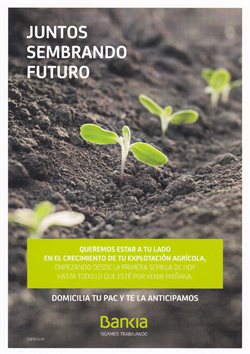 Ofertas de Bankia en el folleto de Guadalajara