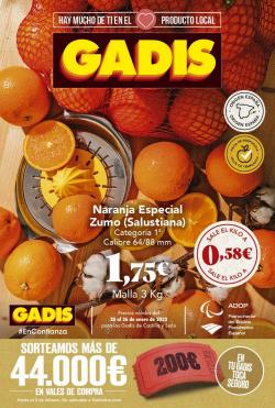 Catálogo Gadis ( Publicado ayer)