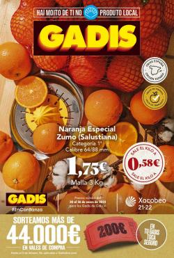 Catálogo Gadis ( Publicado hoy)