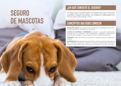 Catálogo Santalucía en Pontevedra | Seguro de mascotas  | 20/9/2022 - 28/2/2023