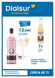 Catálogo Dialsur Cash & Carry en Cocentaina | Ofertas especiales | 5/6/2023 - 25/6/2023
