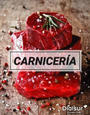 Ofertas de Profesionales en Vila-real | Carnicería Dialsur  de Dialsur Cash & Carry | 6/1/2023 - 31/1/2023