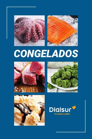 Ofertas de Profesionales en Cartagena | Congelados de Dialsur Cash & Carry | 17/10/2022 - 31/1/2023