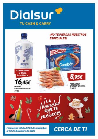 Catálogo Dialsur Cash & Carry en Alzira | Promociones especiales | 28/11/2022 - 18/12/2022