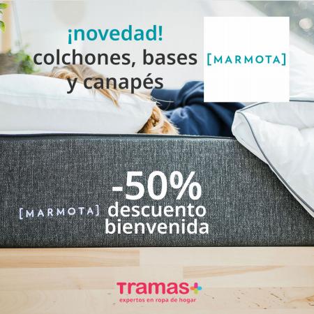 Catálogo Tramas+ en La Orotava | Promos imperdibles | 15/6/2022 - 28/6/2022