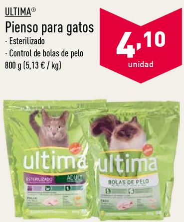 Promociones Para Comida Y Comprar GatosOfertas tQdshCr