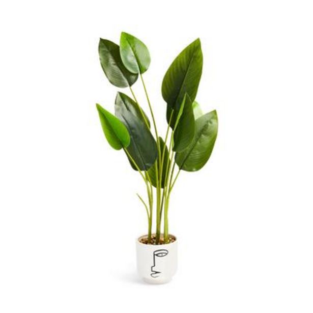 Oferta de Planta artificial con macetero blanco con relieves por 17€ en Primark