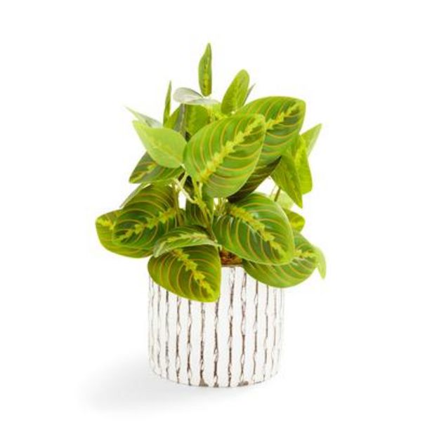 Oferta de Planta artificial con macetero blanco con rayas grabadas por 9€ en Primark