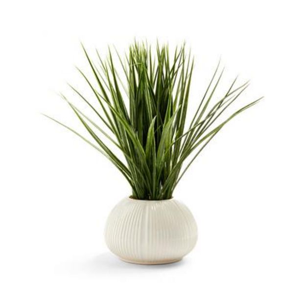 Oferta de Planta artificial con hojas altas con macetero blanco con relieves por 9€ en Primark