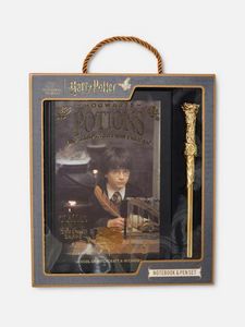 Oferta de Set de varita y cuaderno de Harry Potter por 6€ en Primark