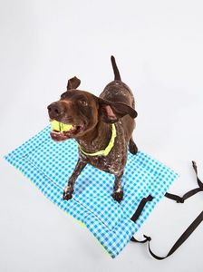 Oferta de Nuevo Cama Personalizable Para Perros  Cama Personalizable Para Perros por 29,99€ en Parfois