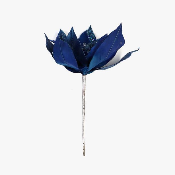 Oferta de Flor de Pascua Azul 31 cm por 6,99€