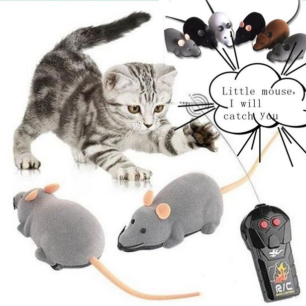 Oferta de Ratón inalámbrico con Control remoto para mascotas por 4,52€