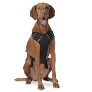 Oferta de Arnés de pecho color negro - Heikul talla XL por 29,99€ en Totto