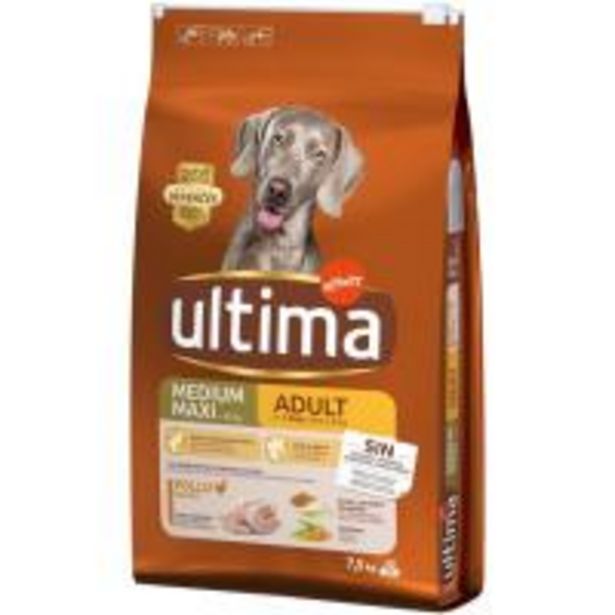 Oferta de Alimento de pollo-arroz para perro adulto ULTIMA, saco 7,5 kg por 24,95€