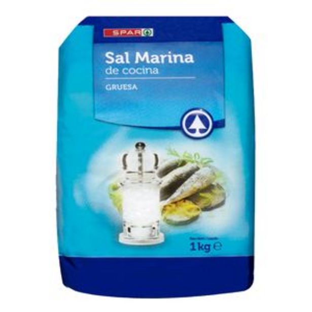 Oferta de Sal gruesa pte. 1kg por 0,35€