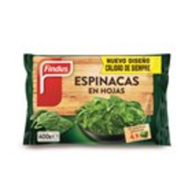 Oferta de Espinacs FINDUS, paquet 400 grams por 1,79€