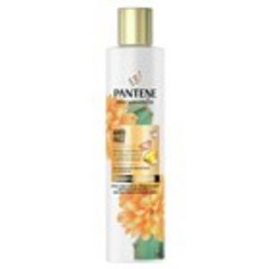 Oferta de Xampú pro V miracle anti-frizz cactus PANTENE, 225 ml por 2,57€ en Plusfresc