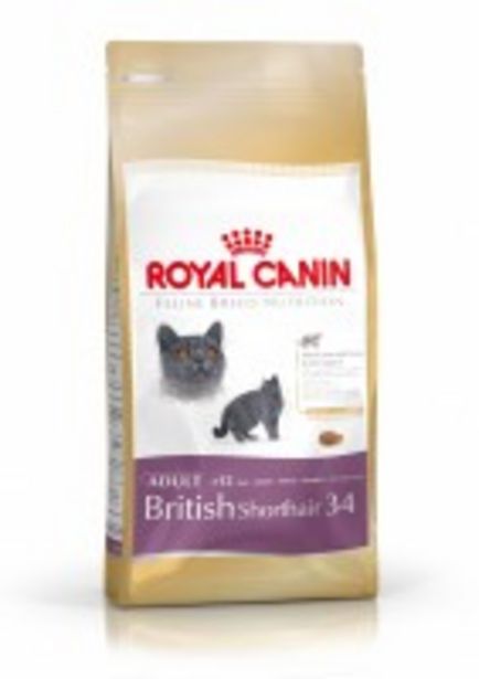 Oferta de ROYAL CANIN Gatos British Shorthair 34 por 20,62€