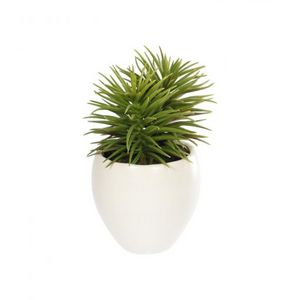 Oferta de Planta artificial Pino con maceta de cerámica blanco 16 cm por 10€ en Lasan Decoración