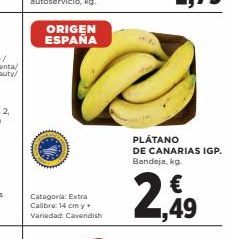 Oferta de Plátanos de Canarias  por 