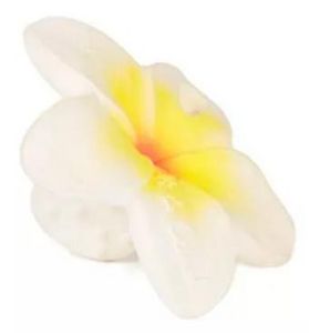 Oferta de Oli&Carol Mordedor Hawaii The Flower por 8,33€ en Atida MiFarma