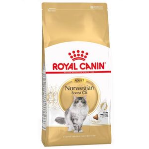 Oferta de Royal Canin Norwegian Forest Cat Adult 10 kg por 89,99€ en Mascotas1000