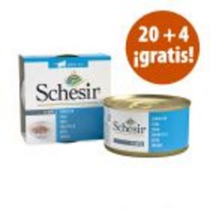Oferta de Schesir en gelatina 24 x 85 g en oferta: 20 + 4 ¡gratis! por 21,59€ en Zooplus