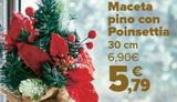Oferta de Maceta pino con Poinsettia  por 5,79€ en Carrefour