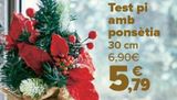Oferta de Maceta pino con Poinsettia  por 5,79€ en Carrefour