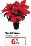 Oferta de Flor de pascua por 6,99€ en Alcampo