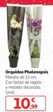 Oferta de Orquídeas por 10,99€ en Alcampo